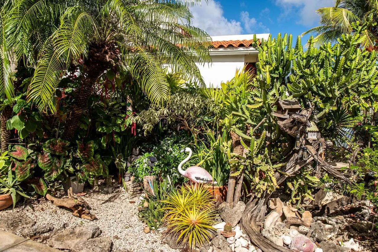 Villa Hamlet Oasis Resort Kralendijk